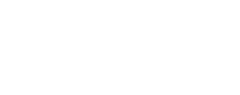 Logo 12