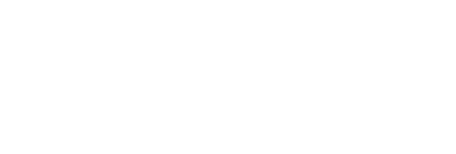 Logo 9